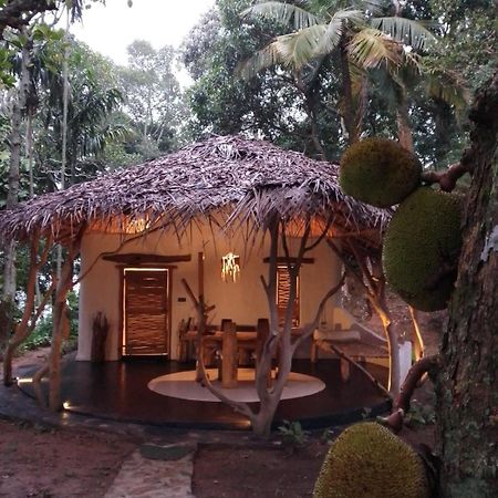Ella Retreat Hotel Villa For Nature Lovers Ngoại thất bức ảnh