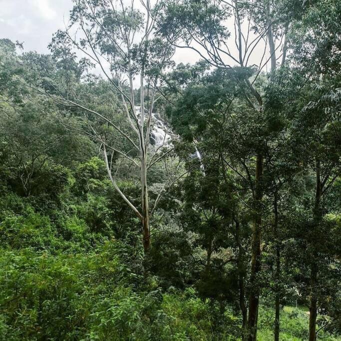 Ella Retreat Hotel Villa For Nature Lovers Ngoại thất bức ảnh