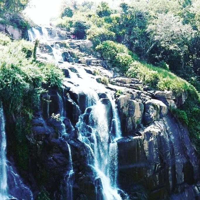 Ella Retreat Hotel Villa For Nature Lovers Ngoại thất bức ảnh